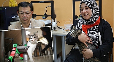 Sakat kalan kedi için yürüteç yapıldı