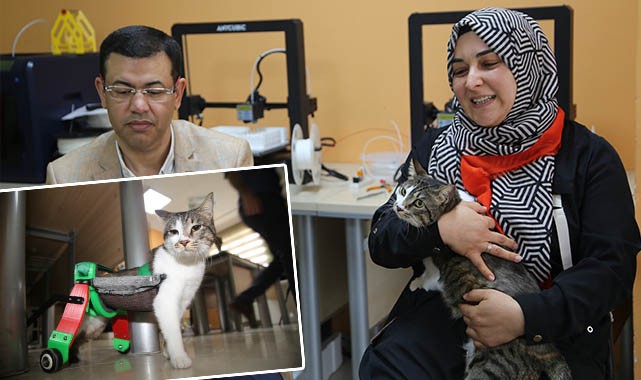 Sakat kalan kedi için yürüteç yapıldı