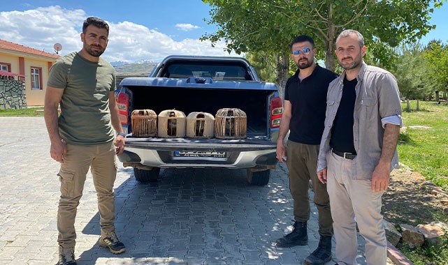 Urfa'dan Maraş'a keklik avlamaya giden 3 kişi yakalandı!