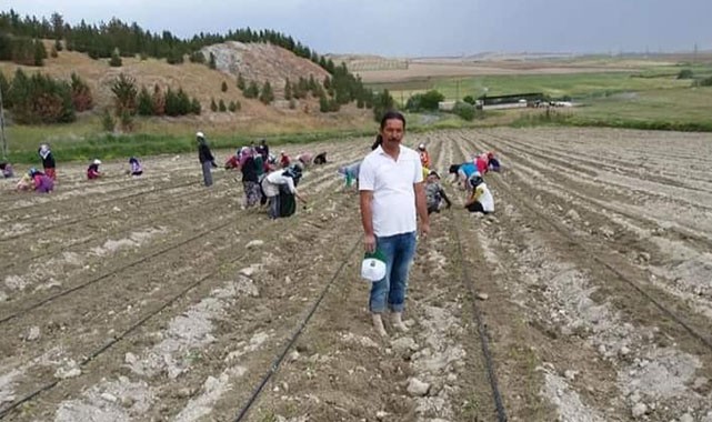 Yazar: TMO fiyatları açıklasın!