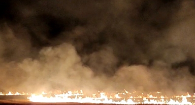 Ceylanpınar'da anız yakan şahıs yakalandı