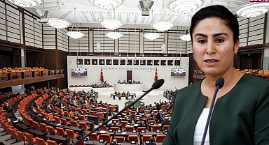 Urfalı vekilin dokunulmazlık dosyası Meclis'e sunuldu!