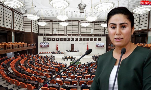 Urfalı vekilin dokunulmazlık dosyası Meclis'e sunuldu!