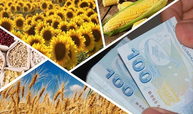 Hububat, baklagil ve mısır desteği hesaplara yatıyor