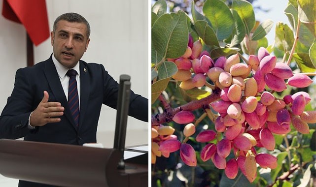 Mecliste söz alarak Fıstık için destek istedi!