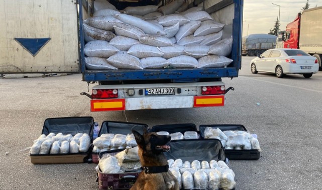 Örgüt üyeleriyle poz veren terörist serbest kaldı