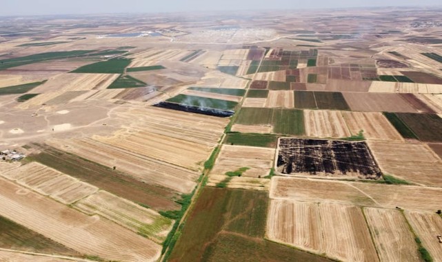 Suruç’ta toplulaştırılan arazilerde yol çalışması