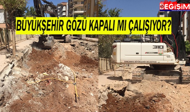 Büyükşehir kaş yaparken göz çıkardı!