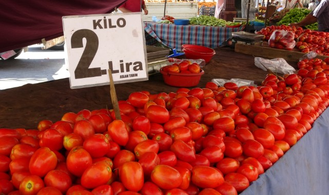 Domatesin kilosu 2 liraya düştü