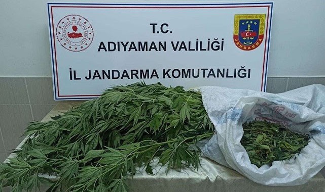 Kenevir ve kubar esrar ele geçirildi!