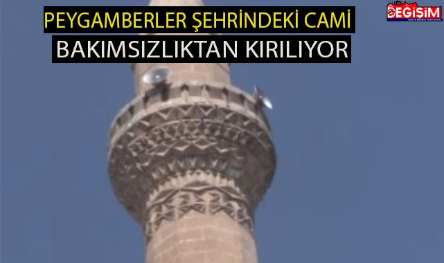 Peygamberler Şehrindeki cami bakımsızlıktan dökülüyor