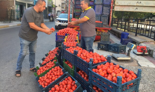 Salçalık domates fiyatları el yakıyor