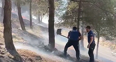 Şanlıurfa'daki ağaçlık alanda yangın çıktı!
