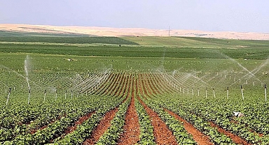 Suyla birlikte çiftçinin geliri arttı!