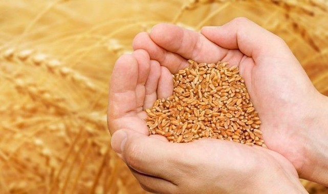 Arpa, buğday, mercimek ve pamuk fiyatları