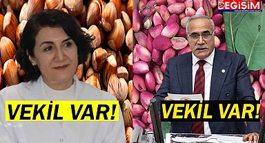 Aziz Aydınlık fıstık üreticilerin sesi oldu!