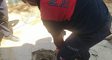 Çukura düşen yavruları, itfaiye kurtardı