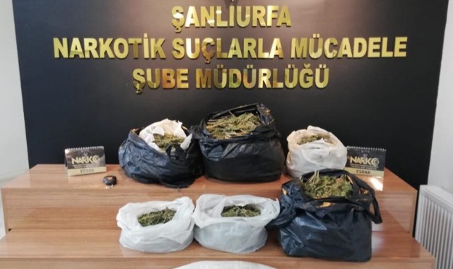 Haliliye'de bir evde esrar ele geçirildi