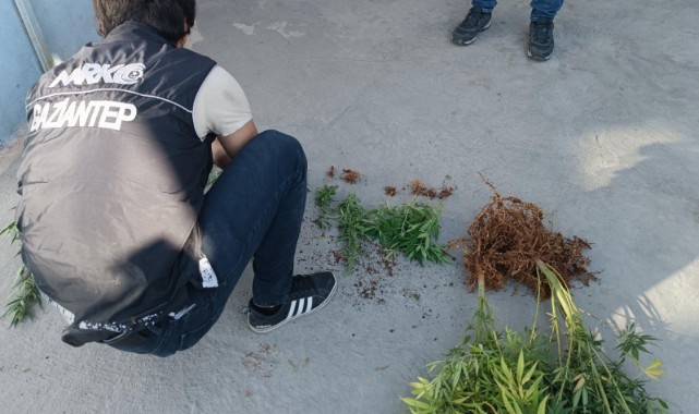Komşu ilde dev uyuşturucu operasyonu! 20 gözaltı