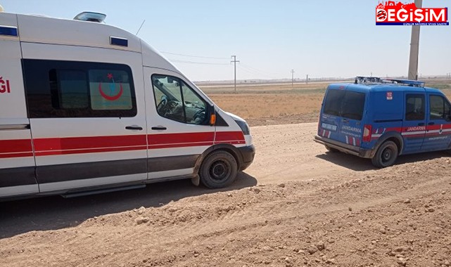 Şanlıurfa’da boş arazide ceset bulundu!