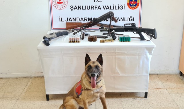Şanlıurfa’da cephanelik ele gecirildi