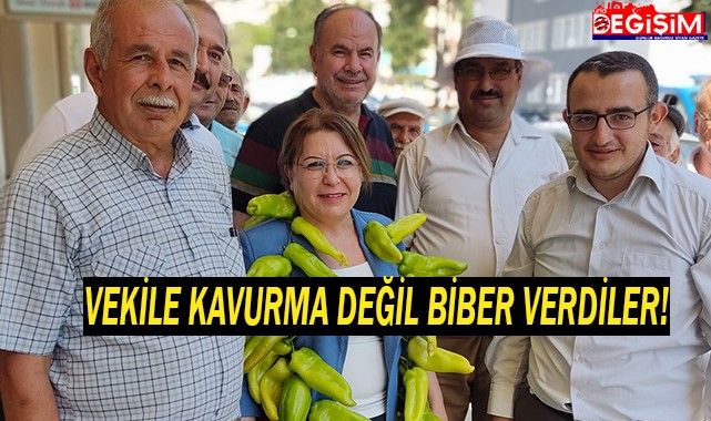 Urfalı Vekil değil ki önüne kavurmalar serilsin!