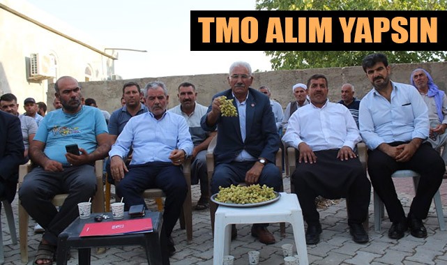 Yavuz: Fıstığa taban fiyat getirilmeli!