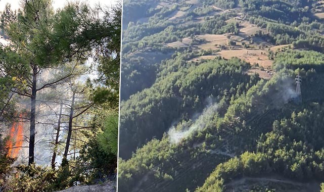 Adana'nın iki ilçesinde orman yangını!