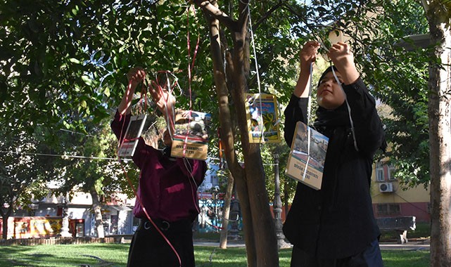 Şanlıurfa’da ağaçtan meyve yerine kitap topladılar