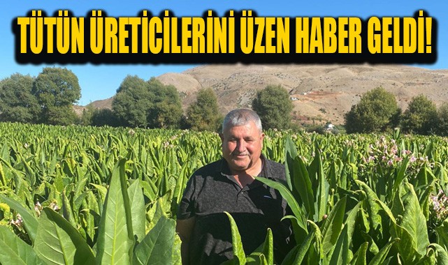 Tütün üreticileri dikkat: "Fiyatlar beklenilenin altında"