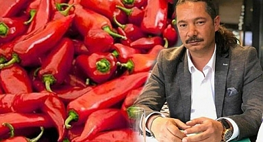 Yazar: Uyarmıştık ve bugün haklı çıktık!