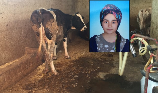 Ahıra süt sağmaya giden kız akıma kapılarak öldü