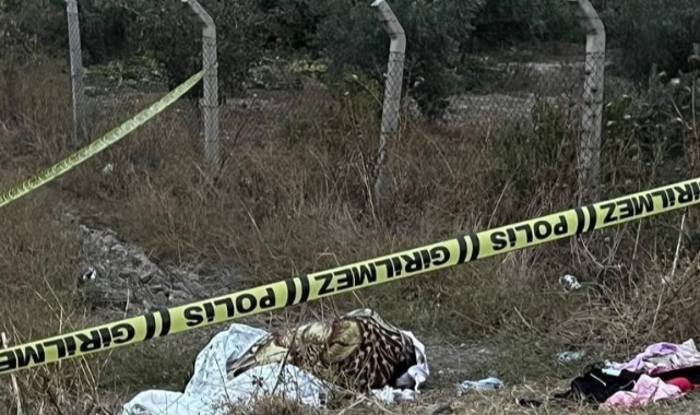 Katledilen kadının hamile olduğu belirlendi