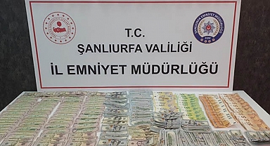 Şanlıurfa'da durdurulan araçta servet çıktı