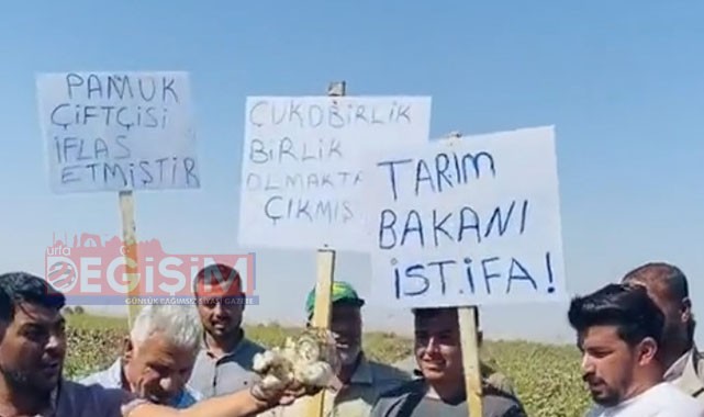 Tarım Bakanı Urfa'da istifaya davet edildi!