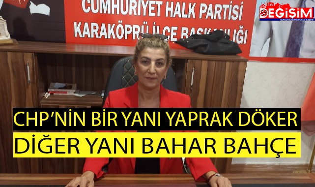 CHP'de taşlar bir türlü yerine oturmuyor, şok istifa!