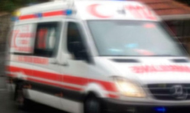 Eşinin kestiği dal sonu oldu