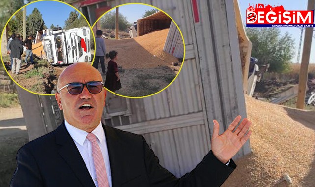 Tahıl yüklü tır devrildi! Tanal yetkililere seslendi