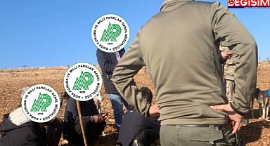 Urfa’da kaçak avlananlar yakayı ele verdi!