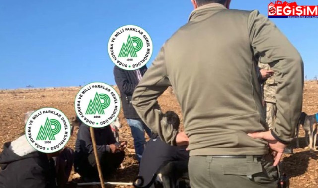Urfa’da kaçak avlananlar yakayı ele verdi!