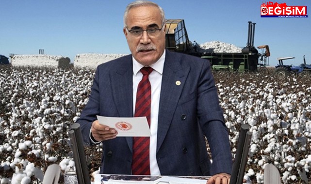 Vekil Aydınlık’tan iktidarı kızdıracak sözler!