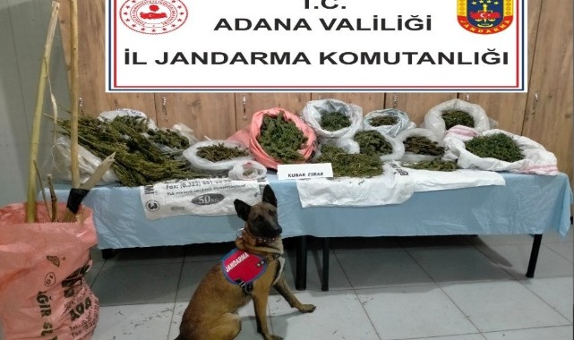 Çiftlik evinde  14 kilo uyuşturucu ele geçirildi