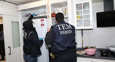 DEAŞ'a şafak operasyonu: Biri Fransız 9 gözaltı