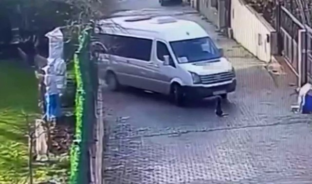 Köpeği ezen servis şoförü, yoluna devam etti