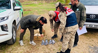 Şanlıurfa'da kaçak avlanan kişiye para cezası verildi!