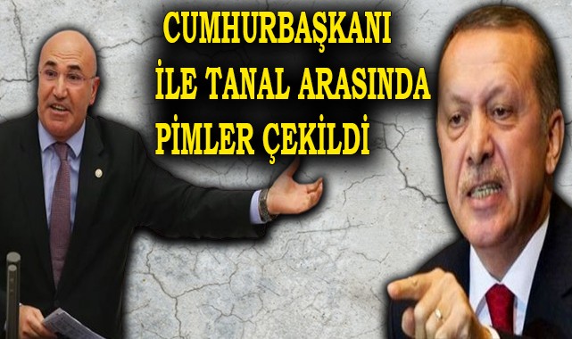 Tanal'dan Cumhurbaşkanı'nı kızdıracak sözler