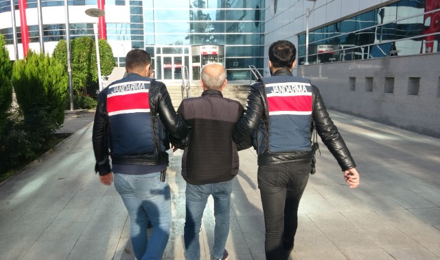 Terör operasyonu: 1 gözaltı