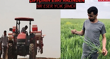 Genç çiftçilere verilecek hibe desteği 250 bin liraya çıkarılacak