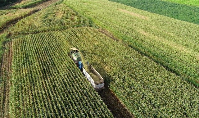 Hububat, baklagil ve mısır desteklemeleri bugün yatıyor