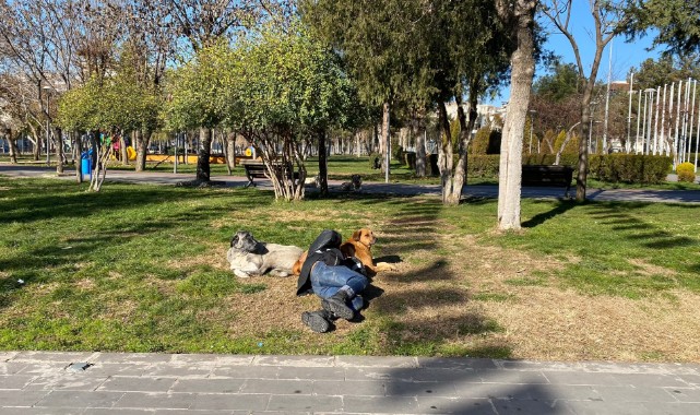 İç ısıtan görüntü: Başını sokak köpeğine yaslayarak uyudu